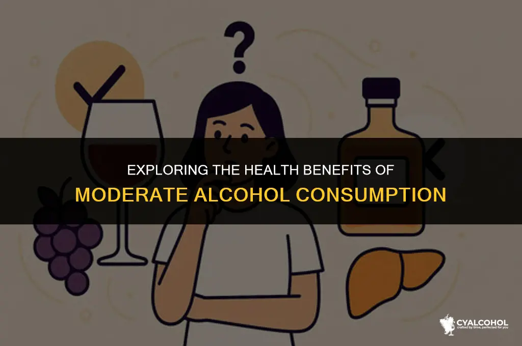 what kind of alcohol is healthy