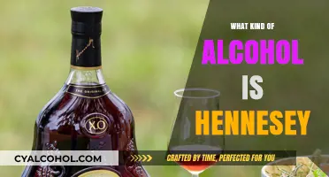 Exploring Hennessy: A Guide to This Iconic Cognac Brand
