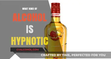 Hypnotic Alcohol Explained: Types, Effects, and Popular Brands to Try
