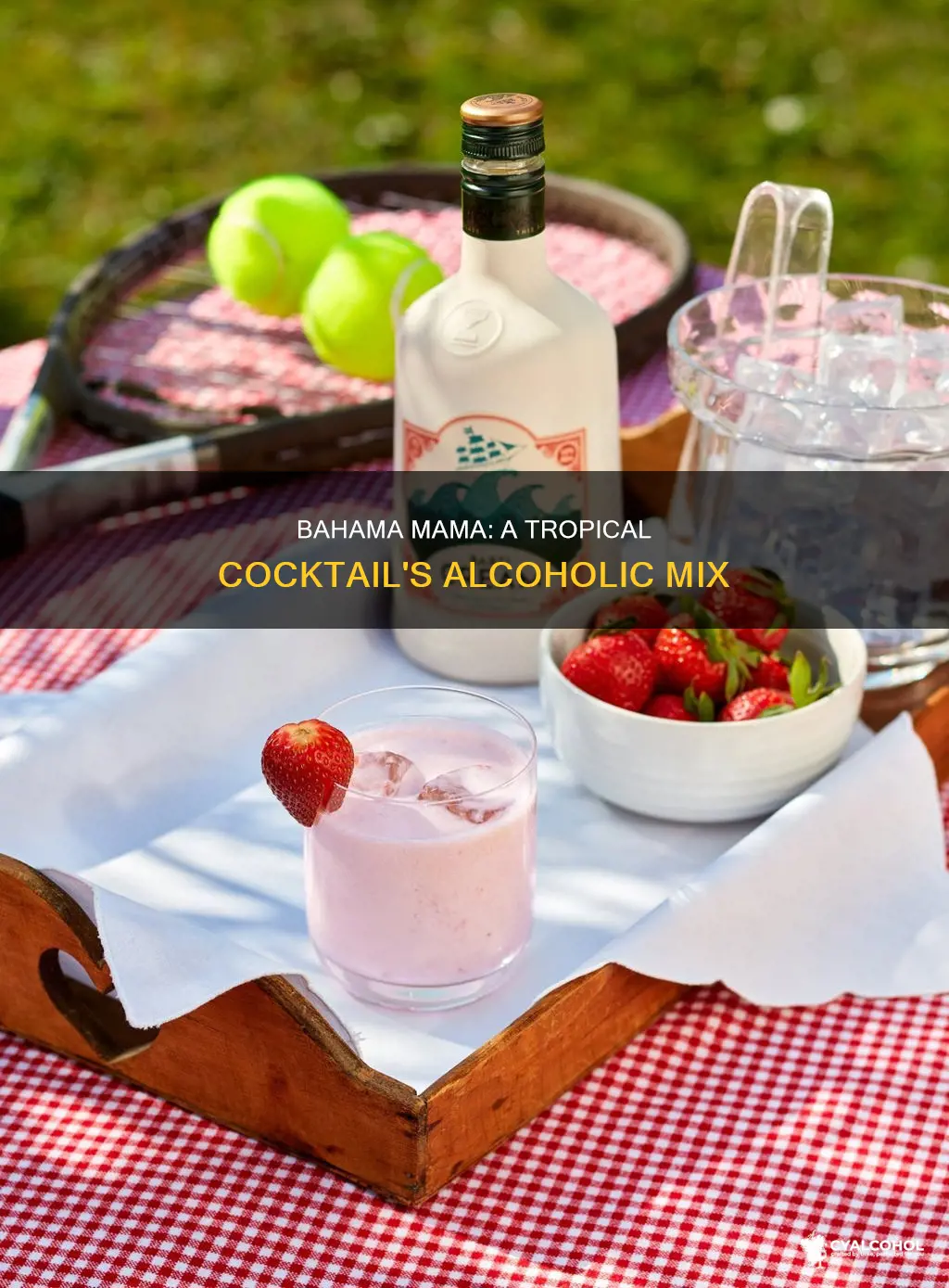 what kind of alcohol is in a bahama mama
