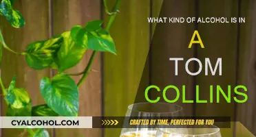 The Tom Collins Cocktail: A Classic Gin-Based Drink
