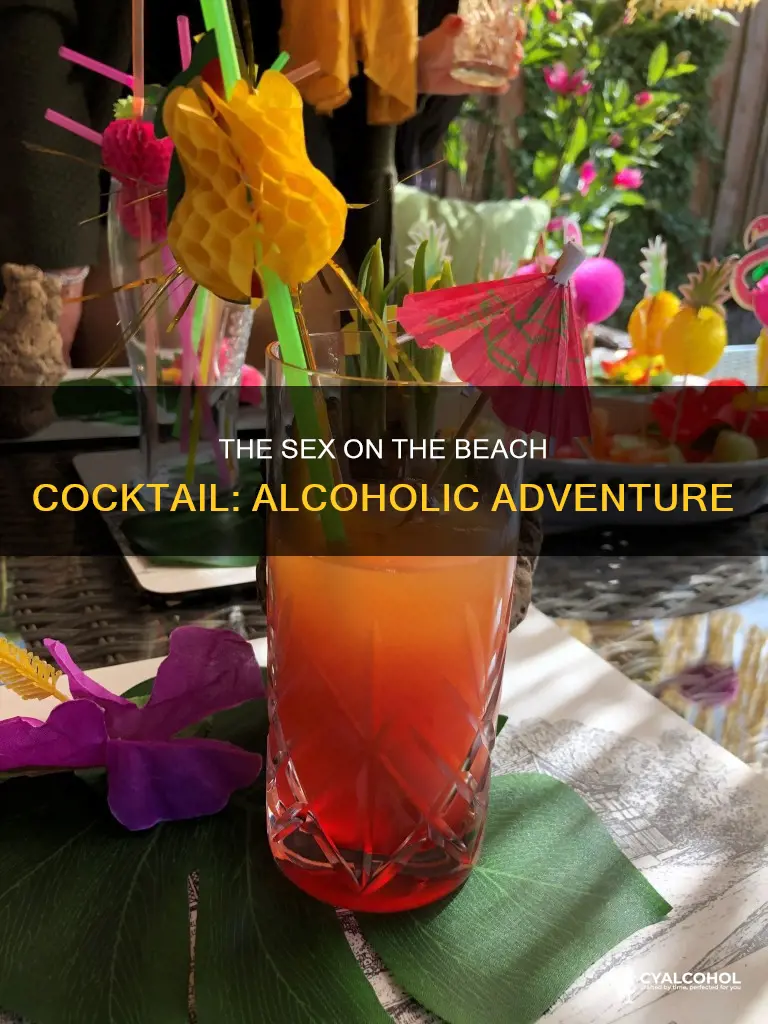 what kind of alcohol is in sex on the beach