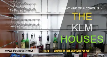 Discover Alcoholic Delights at KLM Houses