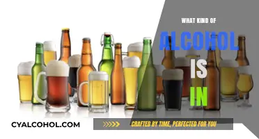 Unveiling the Alcohol Types: What's Really in Your Favorite Drinks?