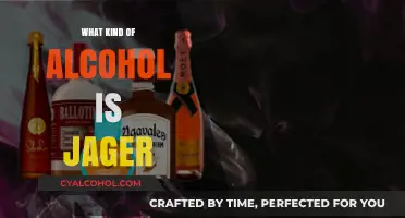 Unveiling Jägermeister: Understanding the Unique Herbal Liqueur Spirit
