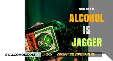 Exploring Jagger: Understanding the Alcohol Type and Its Unique Characteristics