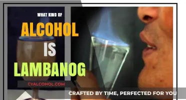 Discover Lambanog: The Unique Filipino Coconut Palm Liquor Explained