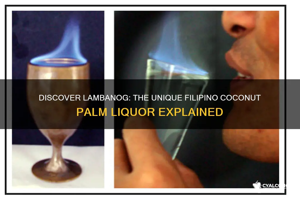 what kind of alcohol is lambanog