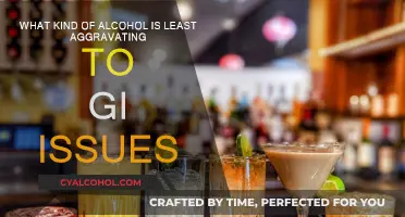 Best Alcoholic Drinks for Managing GI Issues