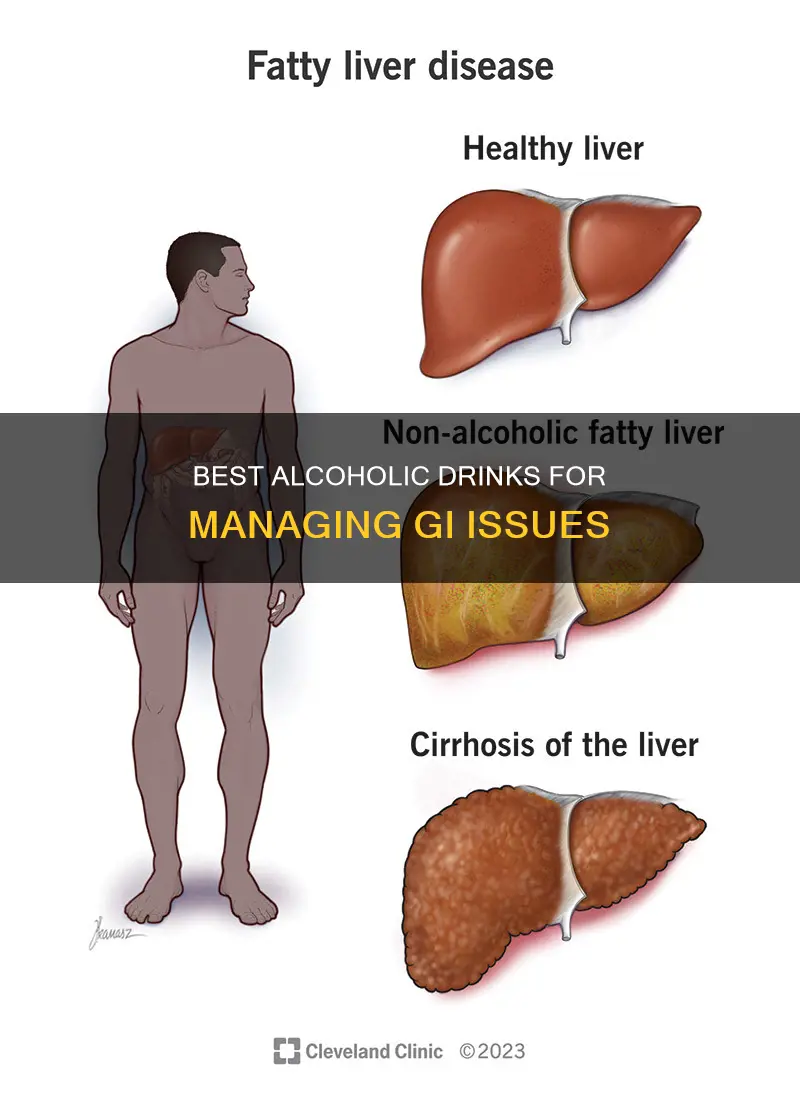 what kind of alcohol is least aggravating to gi issues