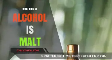 Exploring Malt Alcohol: Types, Production, and Flavor Profiles