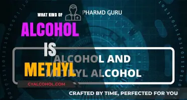 Understanding Methyl Alcohol: Uses, Risks, and Key Differences Explained