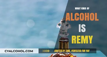 Understanding Remy: A Guide to This Premium Alcoholic Beverage