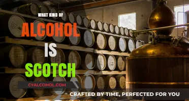 Understanding Scotch: Origins, Types, and What Makes It Unique