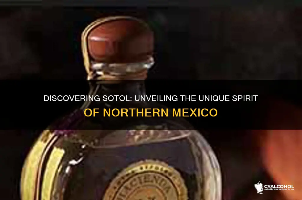 what kind of alcohol is sotol