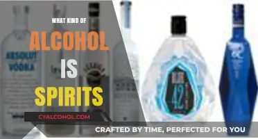 Understanding Spirits: Exploring the World of Distilled Alcoholic Beverages