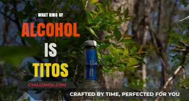 Exploring Tito's Vodka: A Guide to Its Type and Characteristics