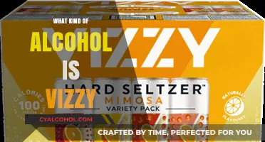 What is Vizzy Alcohol? Exploring the Unique Hard Seltzer Blend