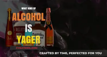 Unveiling Jägermeister: Understanding the Unique Herbal Liqueur and Its Origins