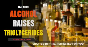Alcohol and Triglycerides: Which Drinks Increase Your Levels?