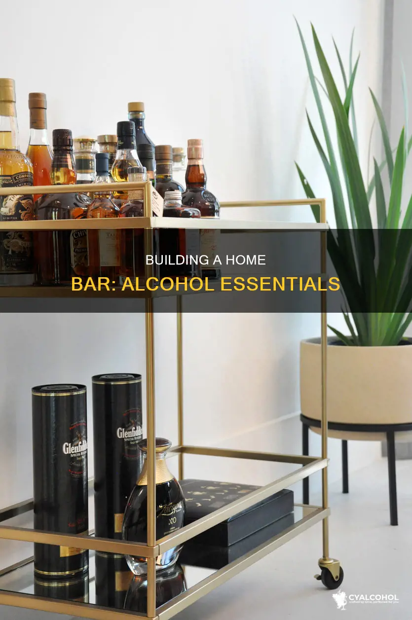 what kind of alcohol should i have in my bar