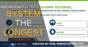 Alcohol's Long Goodbye: Which Drinks Linger?