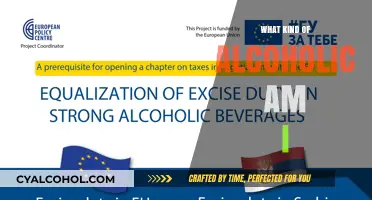 Understanding Your Drinking Habits: What Type of Alcoholic Are You?
