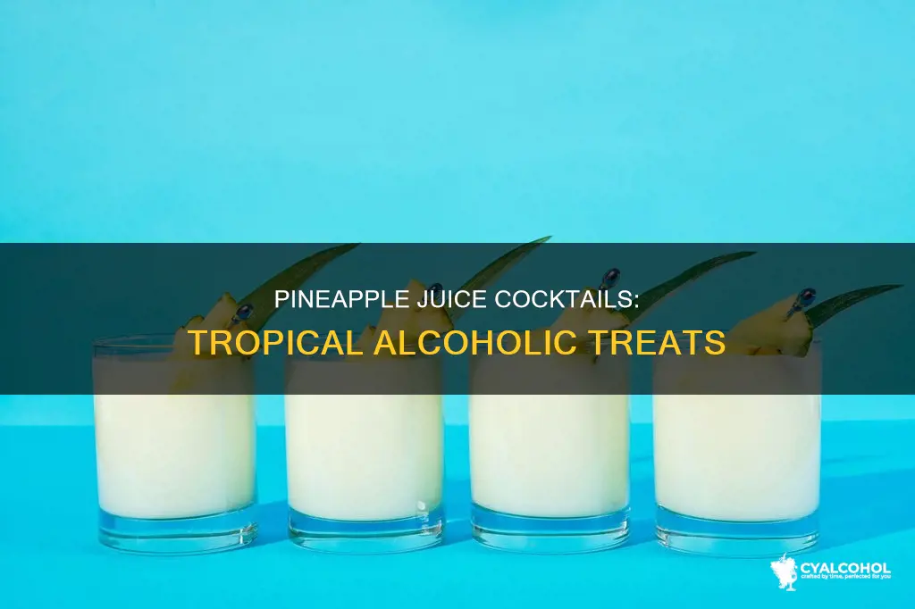 what kind of alcoholic beverage is there with pineapple juice