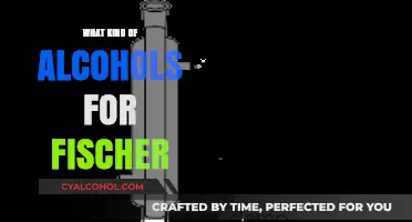 Choosing the Right Alcohols for Fischer Esterification Reactions