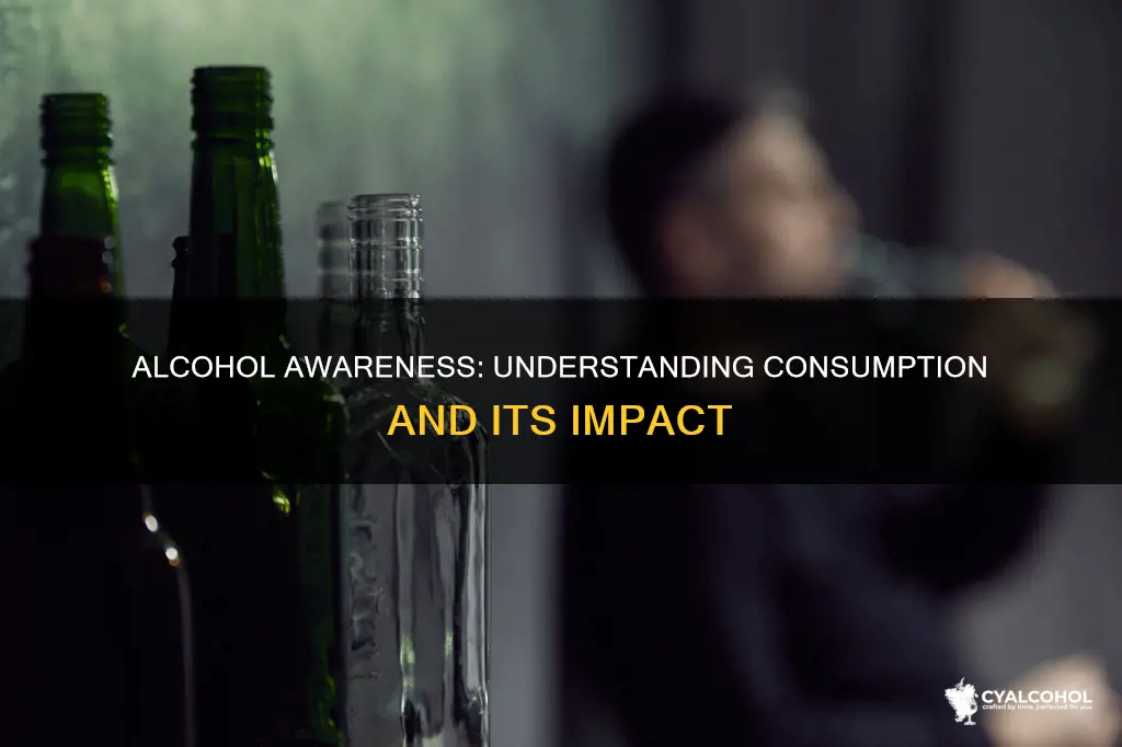 what kind of awareness is present about consumption of alcohol