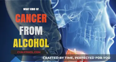 Alcohol-Related Cancer Risks: Understanding the Types and Prevention Strategies