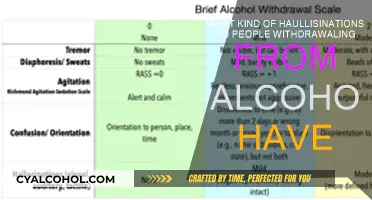 Alcohol Withdrawal: Hallucinations and Their Varied Forms