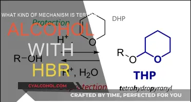 Tertiary Alcohols and HBr: A Unique Reaction Mechanism