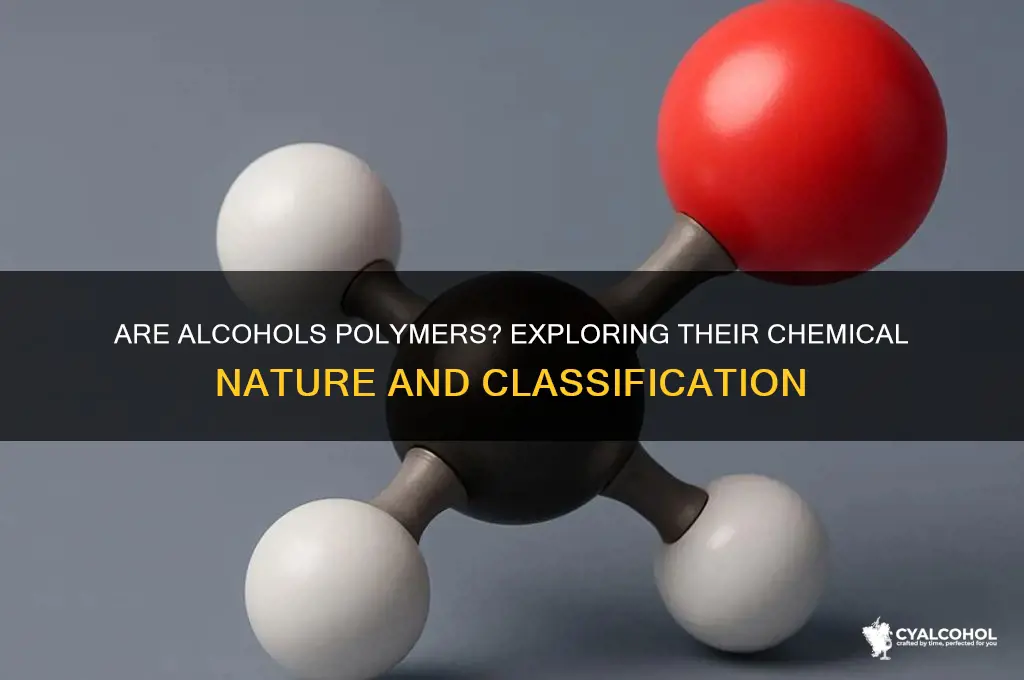 what kind of polymer are alcohols