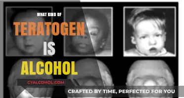 Alcohol as a Teratogen: Understanding Its Impact on Fetal Development