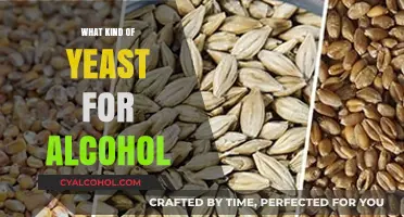Choosing the Right Yeast for Alcohol Production: A Comprehensive Guide