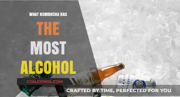 Discover the Highest Alcohol Content Kombucha Brands Available