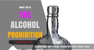 Roots of Temperance: The Social and Political Forces Behind Prohibition