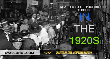 The Rise of Temperance: Prohibition's Roots in the 1920s