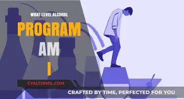 Understanding Your Alcohol Program Level: A Comprehensive Self-Assessment Guide
