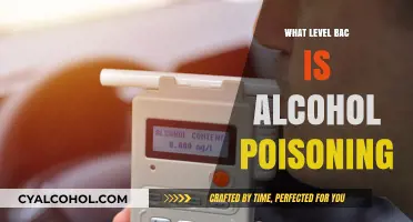 Understanding Alcohol Poisoning: BAC Levels and Critical Signs to Watch