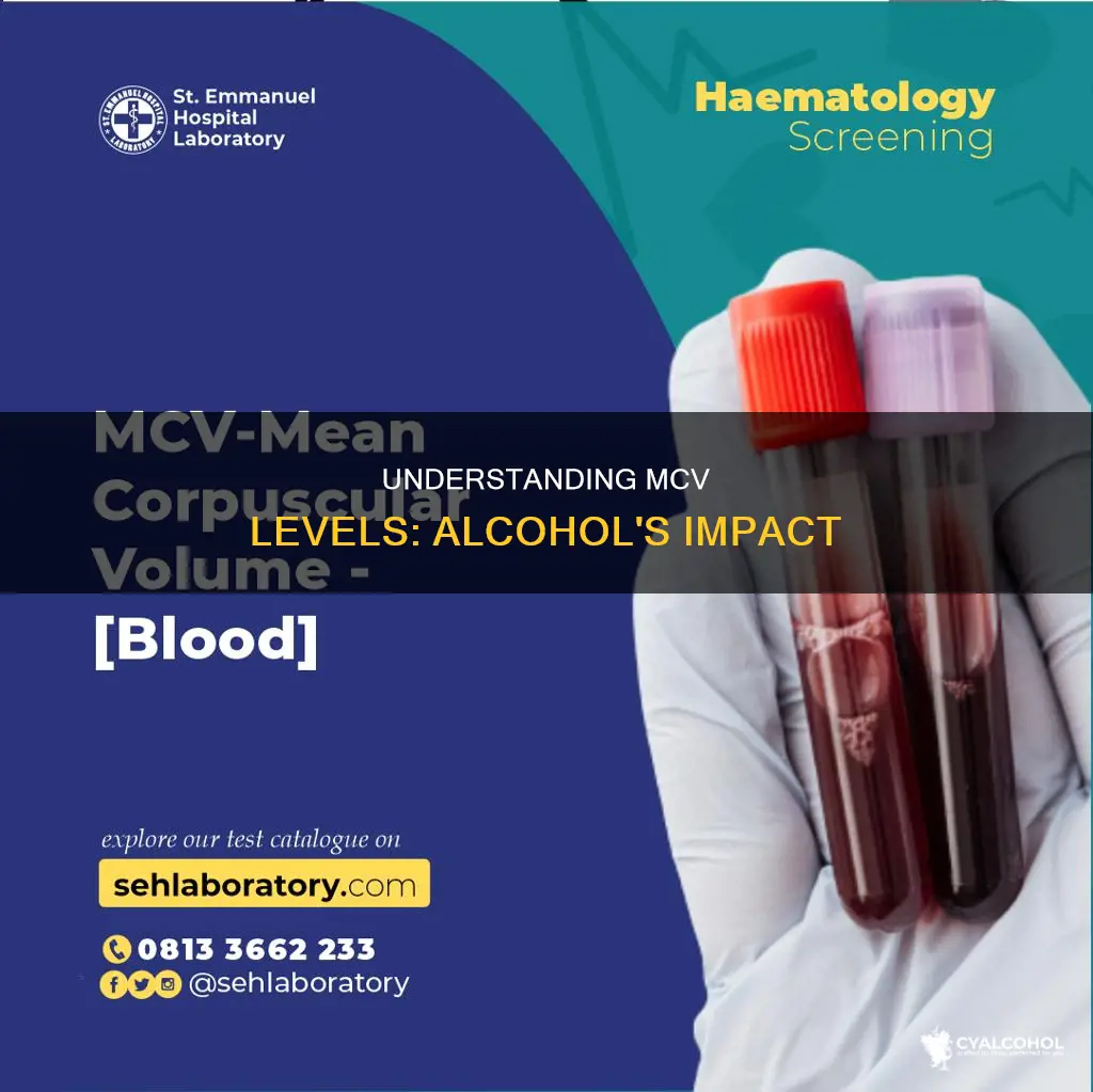 what level does mcv mean to show excessive alcohol consumption