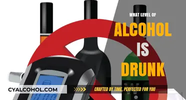 Understanding Alcohol Intoxication Levels: When Does Drunkenness Begin?