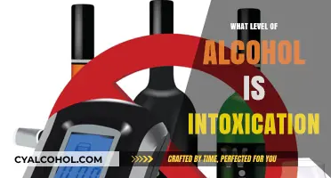 Understanding Alcohol Intoxication: Levels, Effects, and Safe Consumption Guidelines