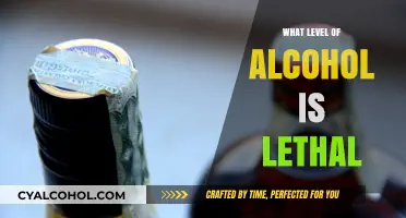 Understanding Lethal Alcohol Levels: Risks, Symptoms, and Prevention Tips