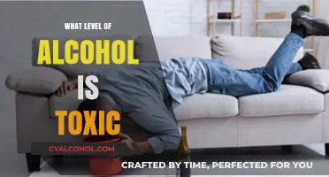 Understanding Toxic Alcohol Levels: Risks, Symptoms, and Safe Consumption Limits