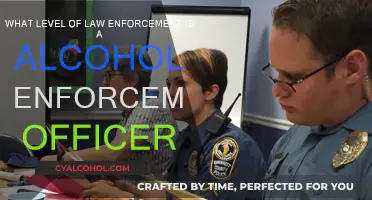 Who Are Alcohol Enforcement Officers?