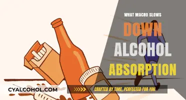 Slow Your Buzz: Macros That Delay Alcohol Absorption Explained