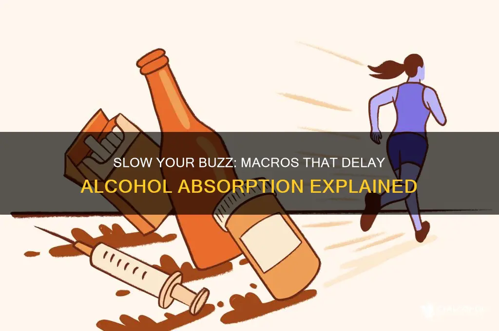 what macro slows down alcohol absorption