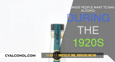 Prohibition: Why the US Banned Alcohol in the 1920s
